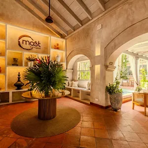 Moet Boutique Adutls Only Cartagène